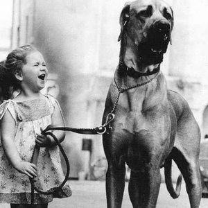 Meet your Posher, Larisa